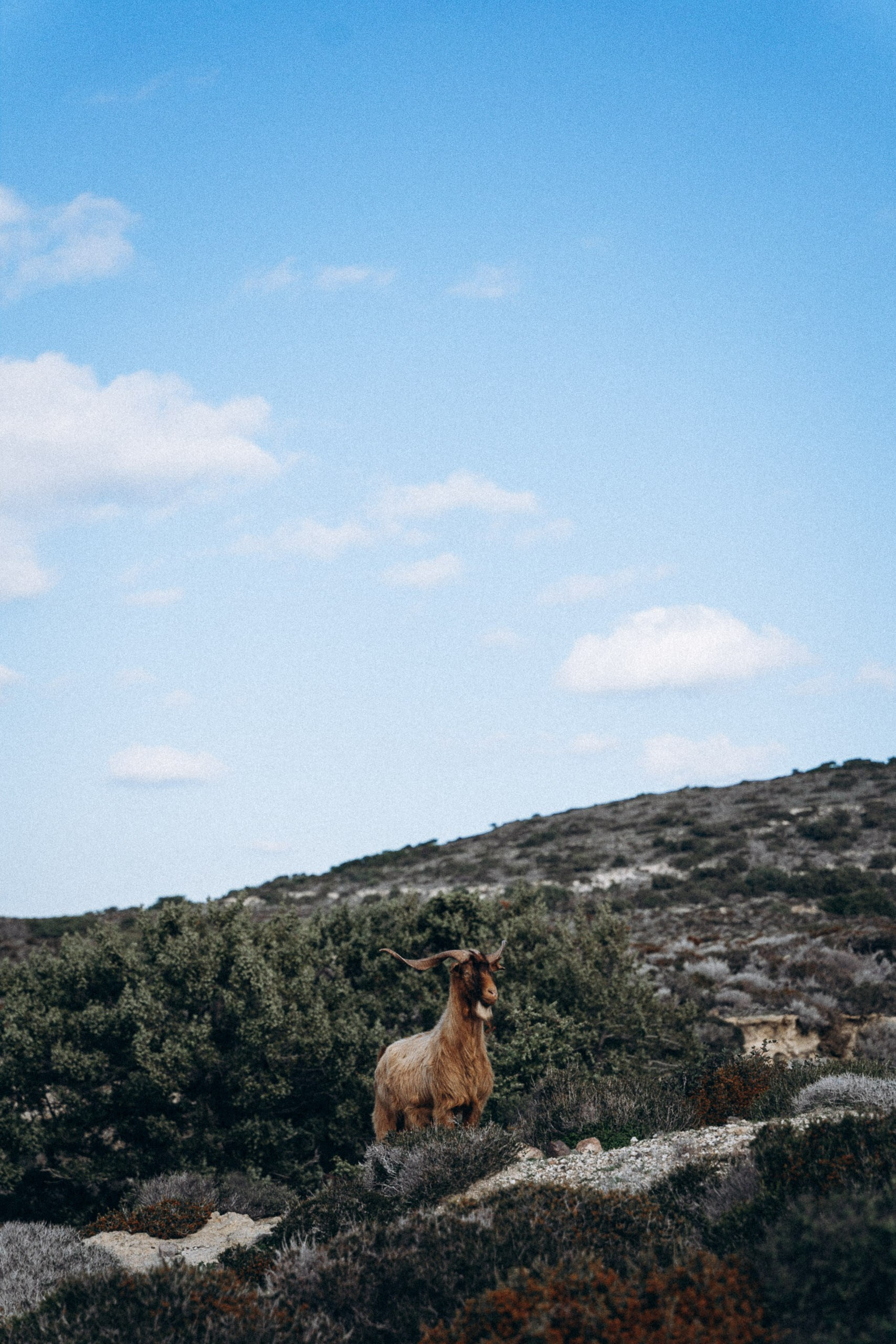 Кефалос, Кос 🇬🇷. Anita_photo
