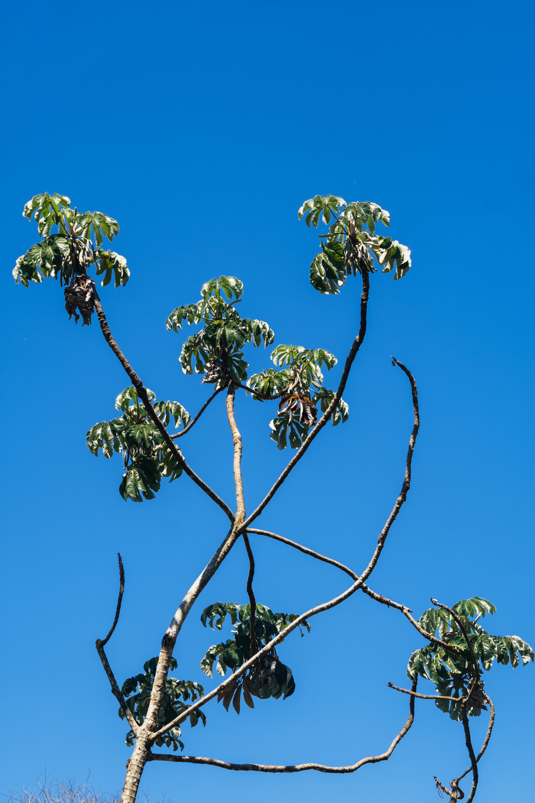 Photographer Anastasiya Dubrovina