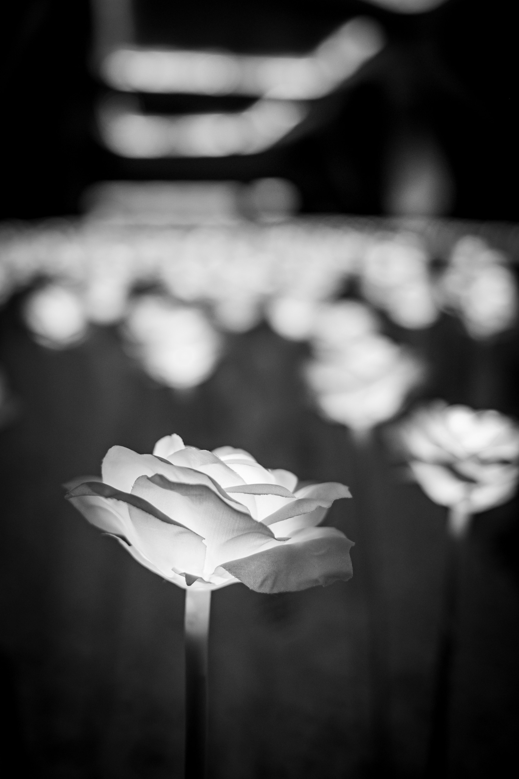 Seoul, my vision…. Photographer in Seoul Dobrokvashina Natalya