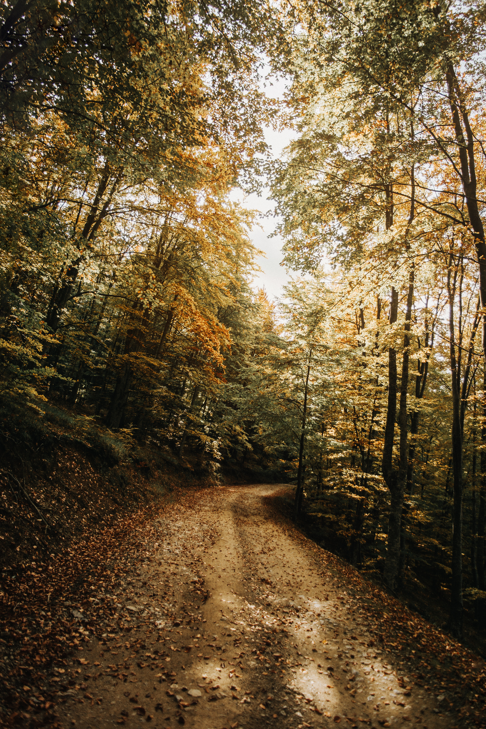 Potraga za svojim korenima. Mark Smilyanic | Portretni boudoir fotograf iz Beograda