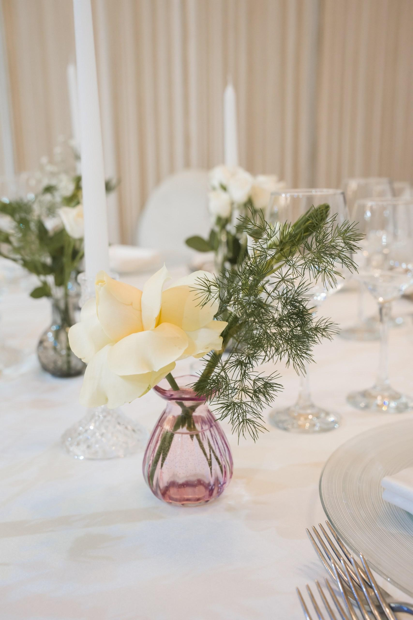 Ami Events - Ploiesti