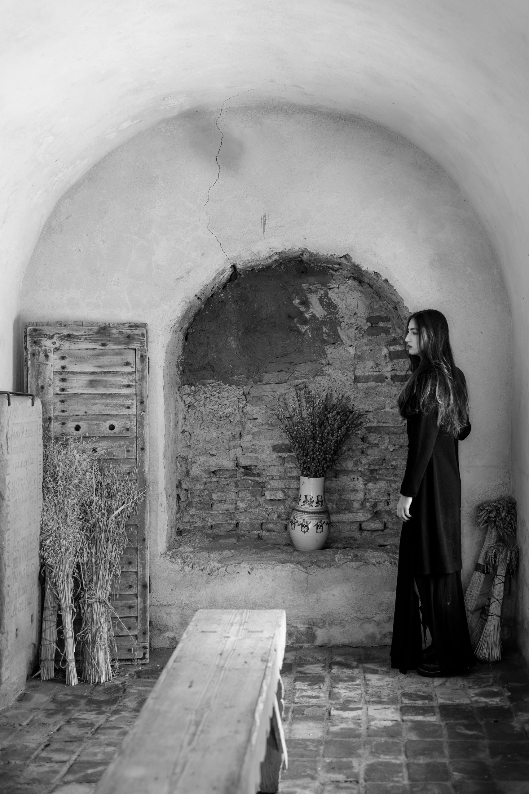 Prizonieră la castel. Daniel Hașiegan