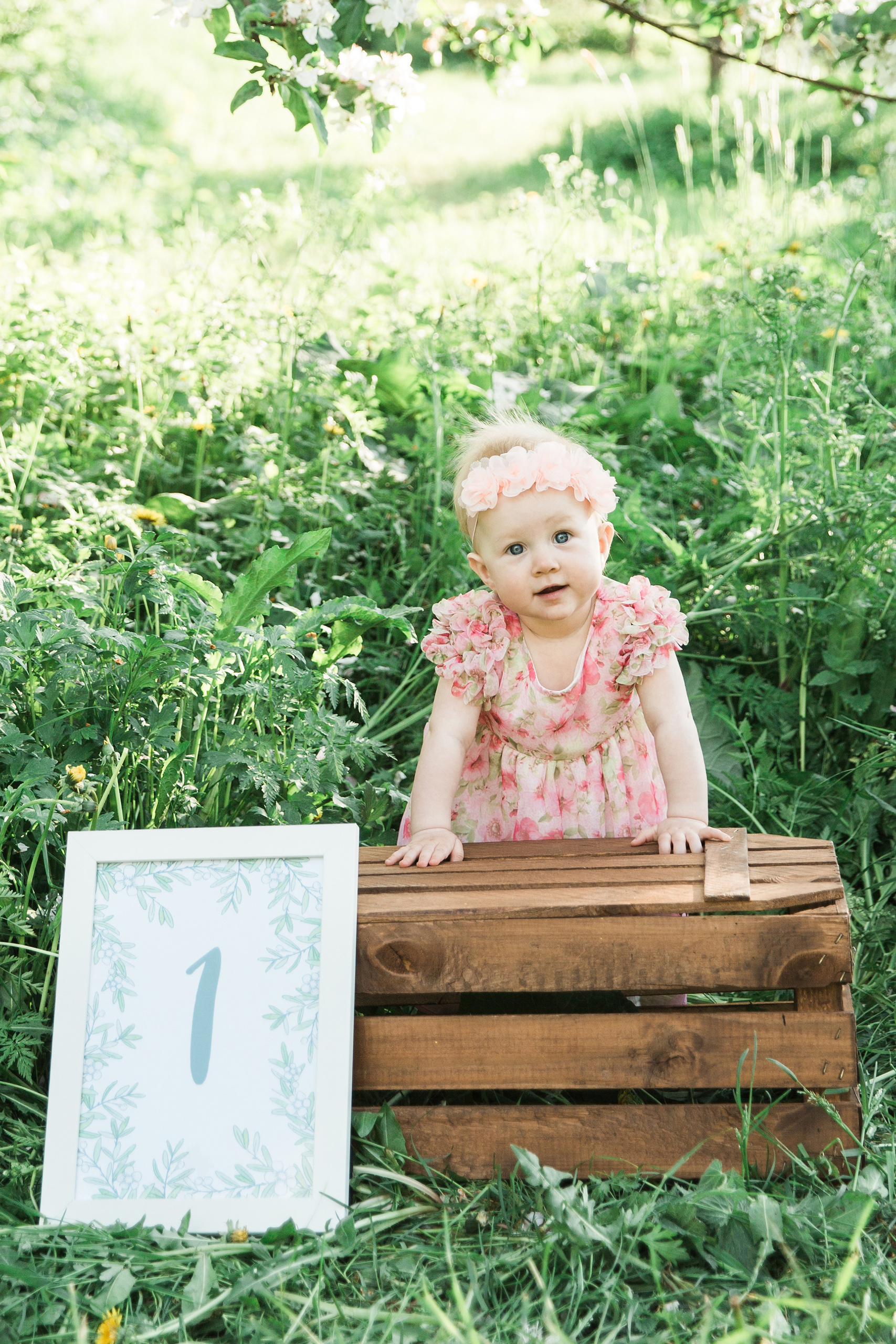 Yksivuotiskuvaus omenatarhassa helsingissa