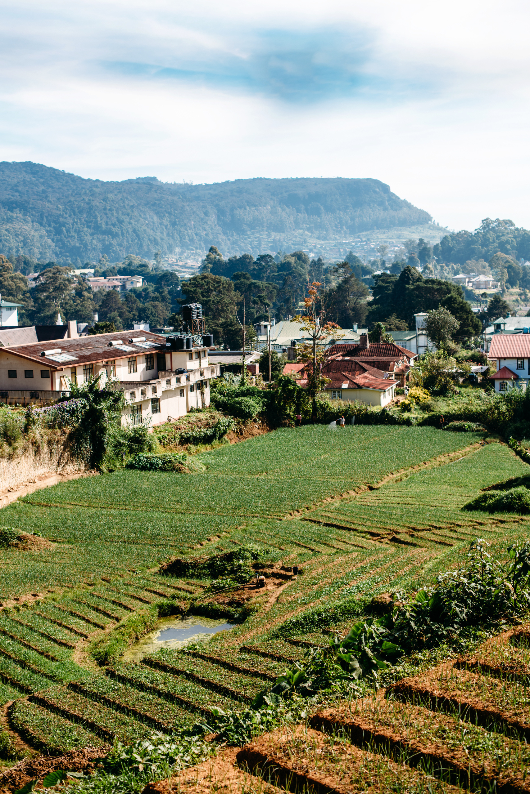Wedding family photographer Alicante Benidorm Valencia Costa Blanca