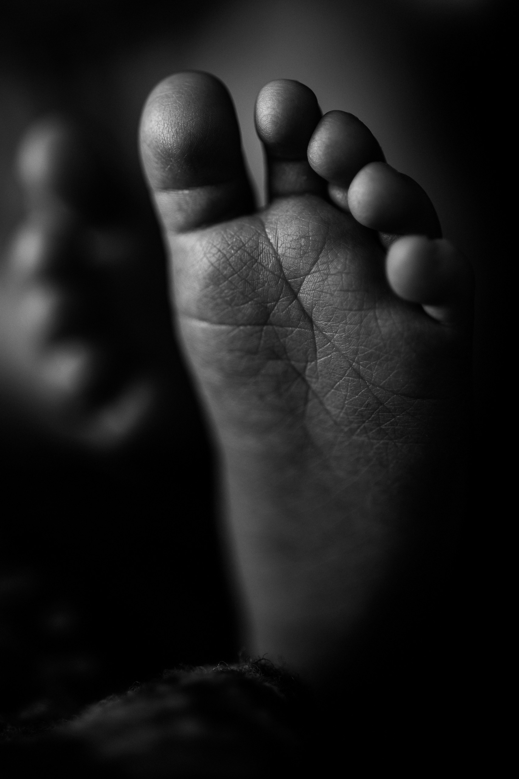 Newborn. Every moment is special!