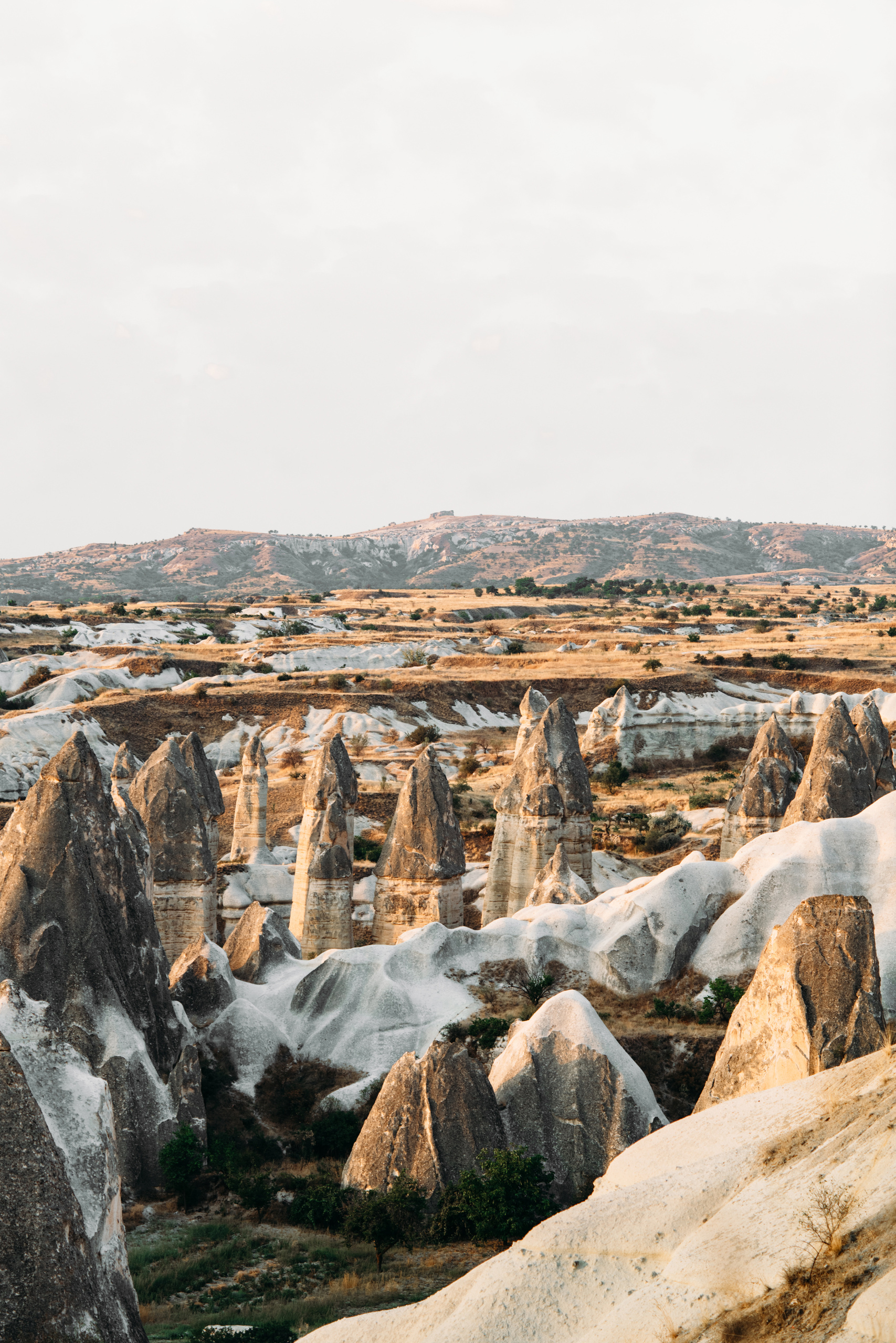 Wedding family photographer Alicante Benidorm Valencia Costa Blanca