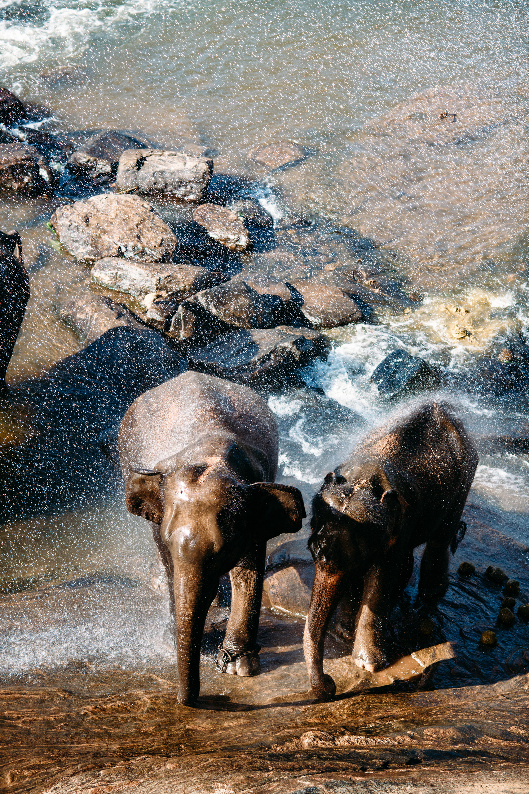 Wedding family photographer Alicante Benidorm Valencia Costa Blanca