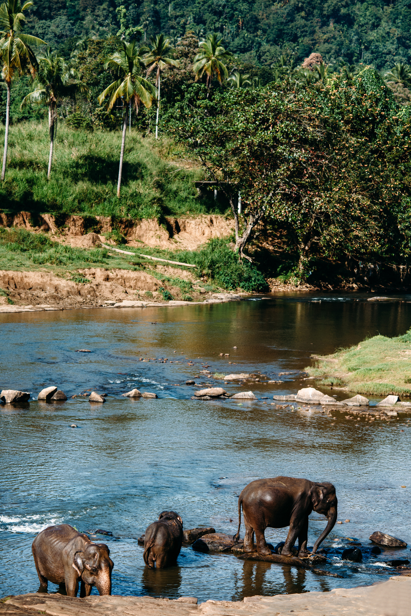 Wedding family photographer Alicante Benidorm Valencia Costa Blanca