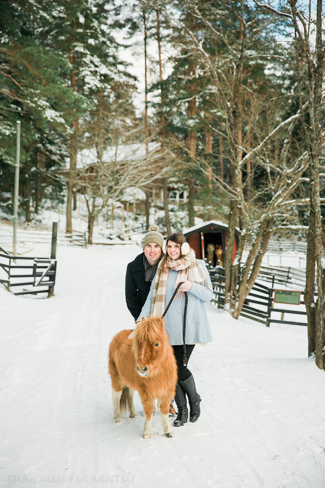 rehndall, kotieläintila