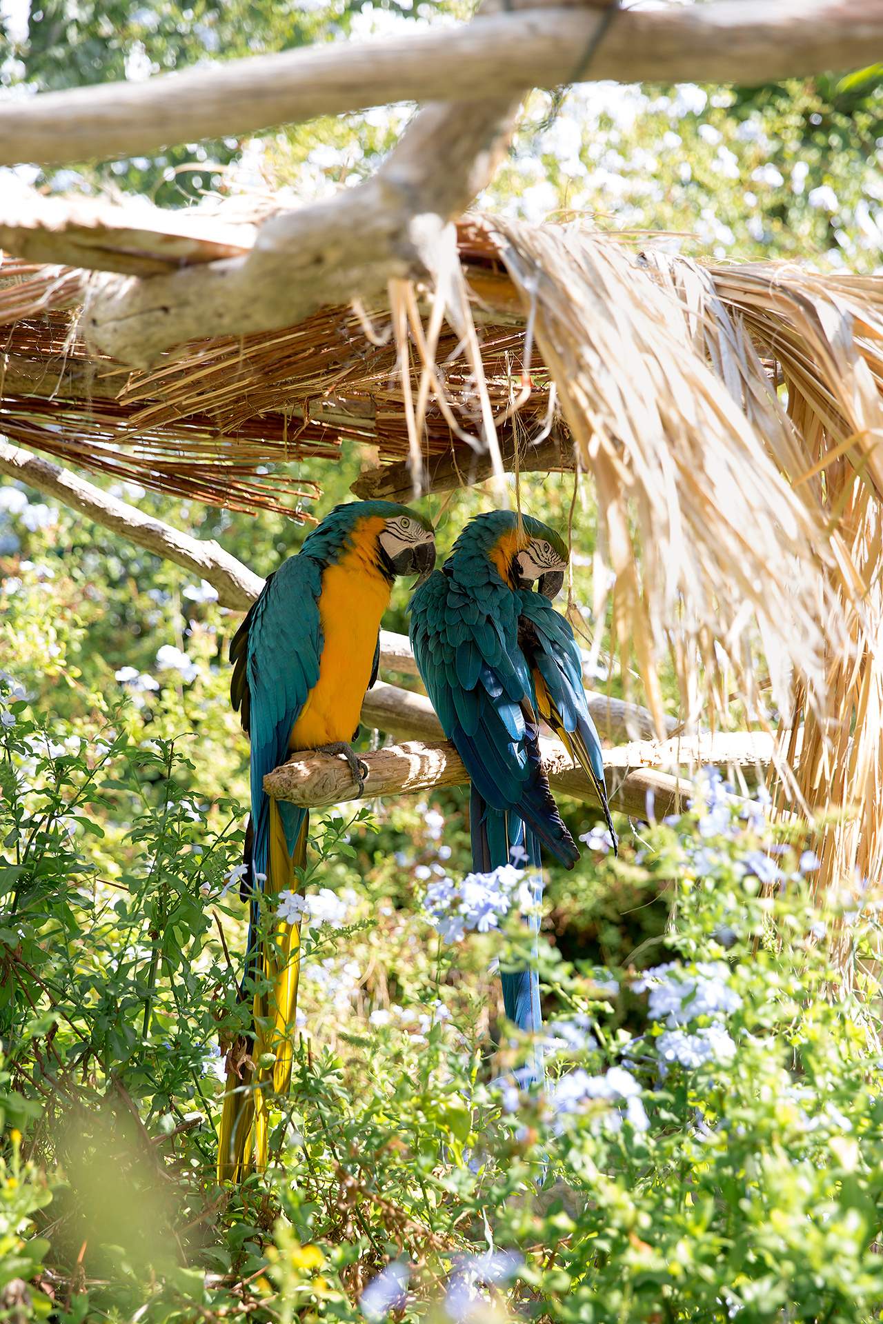 Photographer in Spain, photographer in Fuengirola, photographer in Mal