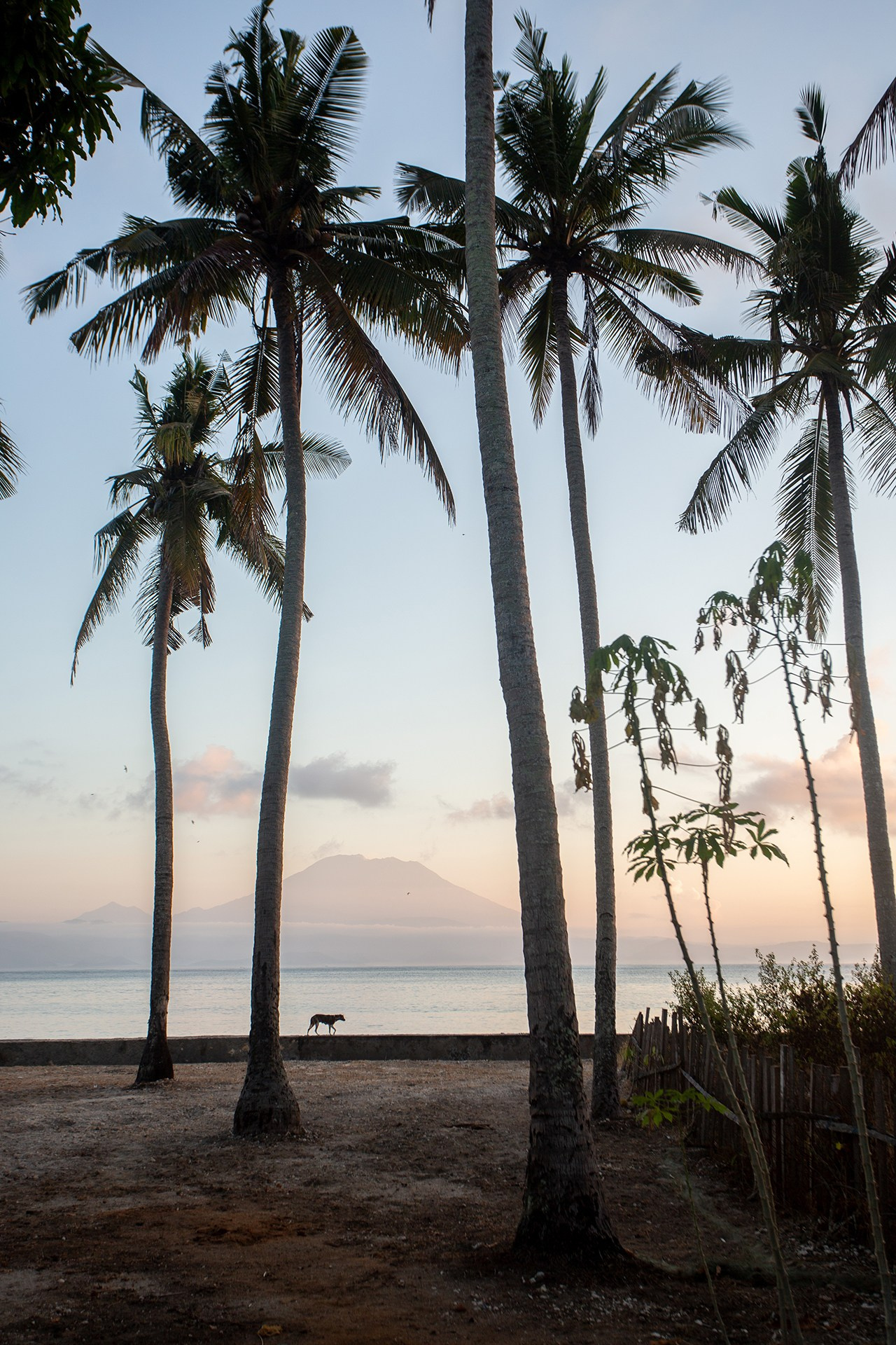 March 21-22 Nusa Penida + snorkeling with Manta Rays. Individual and couple Photographer in Bali — Bali Dream Photo