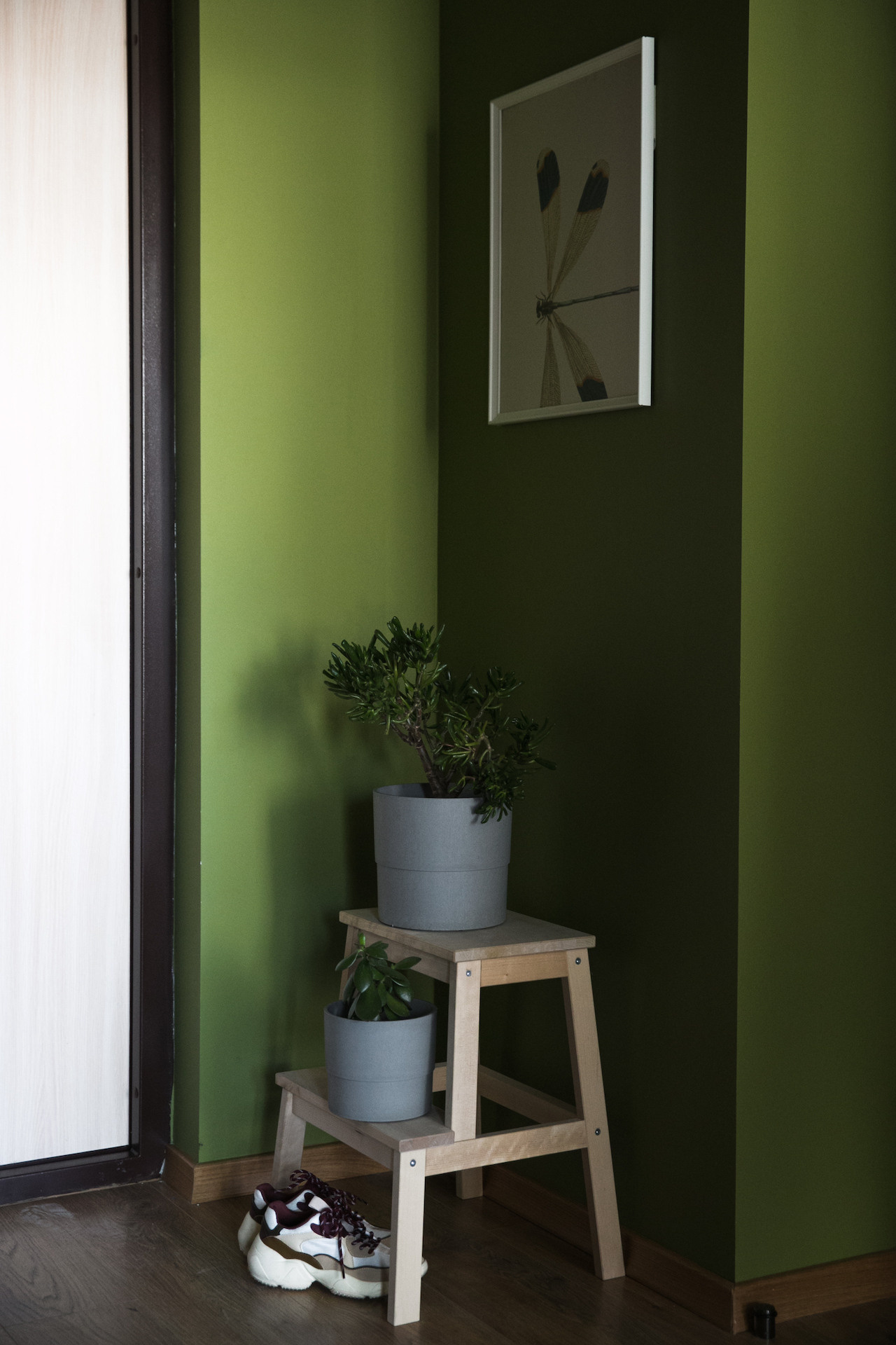 Дизайнер интерьера — ЖК Морская Звезда на Оптиков