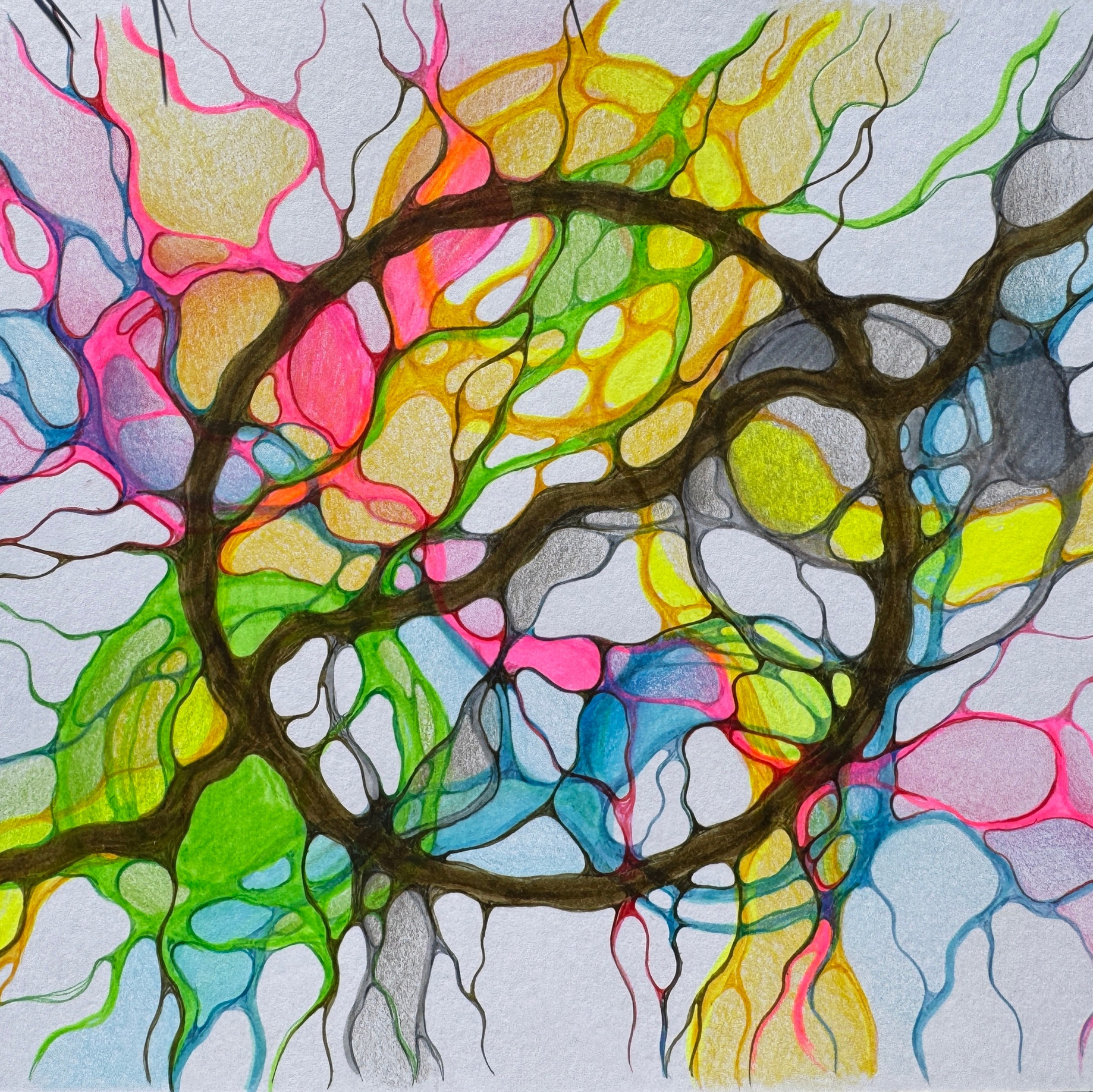 Zgodovina NevroGrafike. Numerologija. Nevrografika. Delavnice