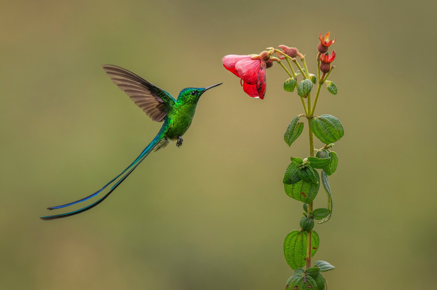 Store. Akhil Vinayak Menon Photography
