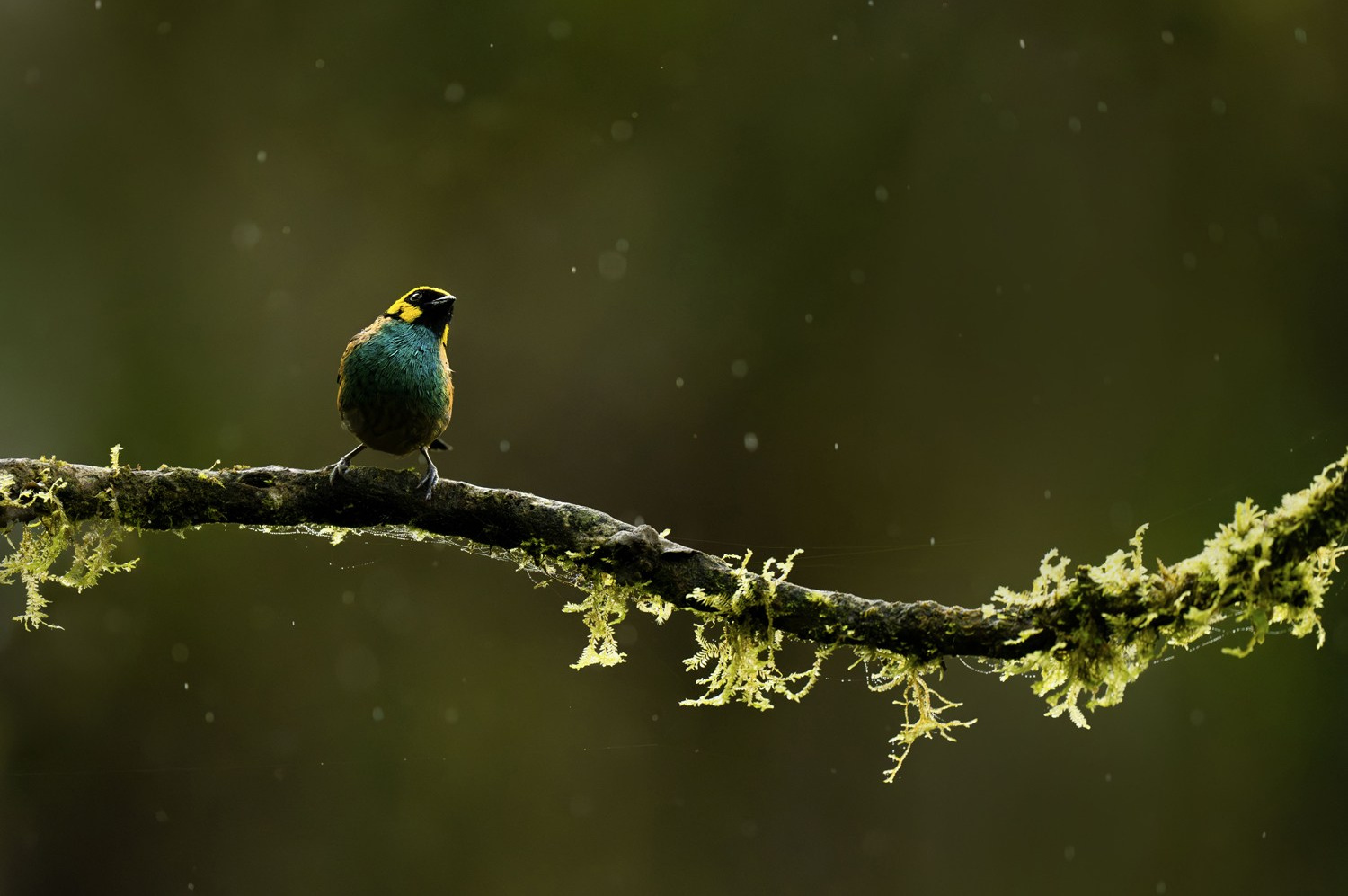 Store. Akhil Vinayak Menon Photography