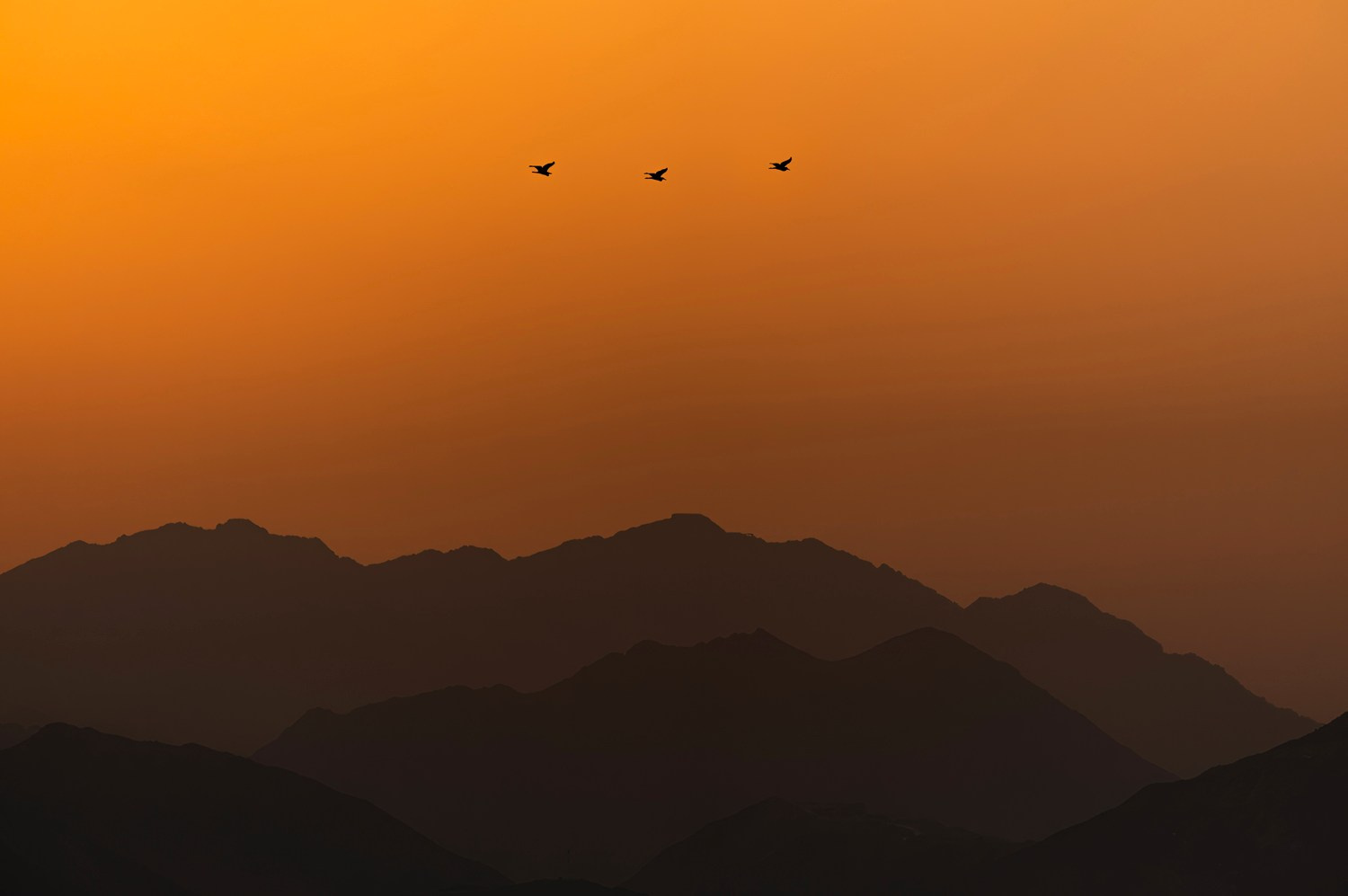 Store. Akhil Vinayak Menon Photography