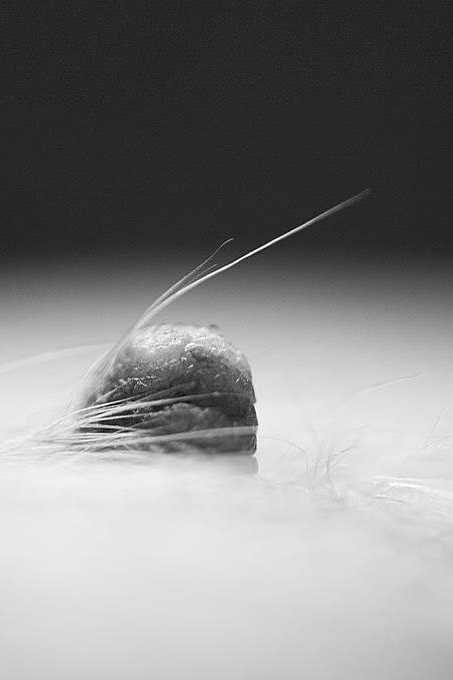 Education. Areg Balayan — Photographer/Visual Artist