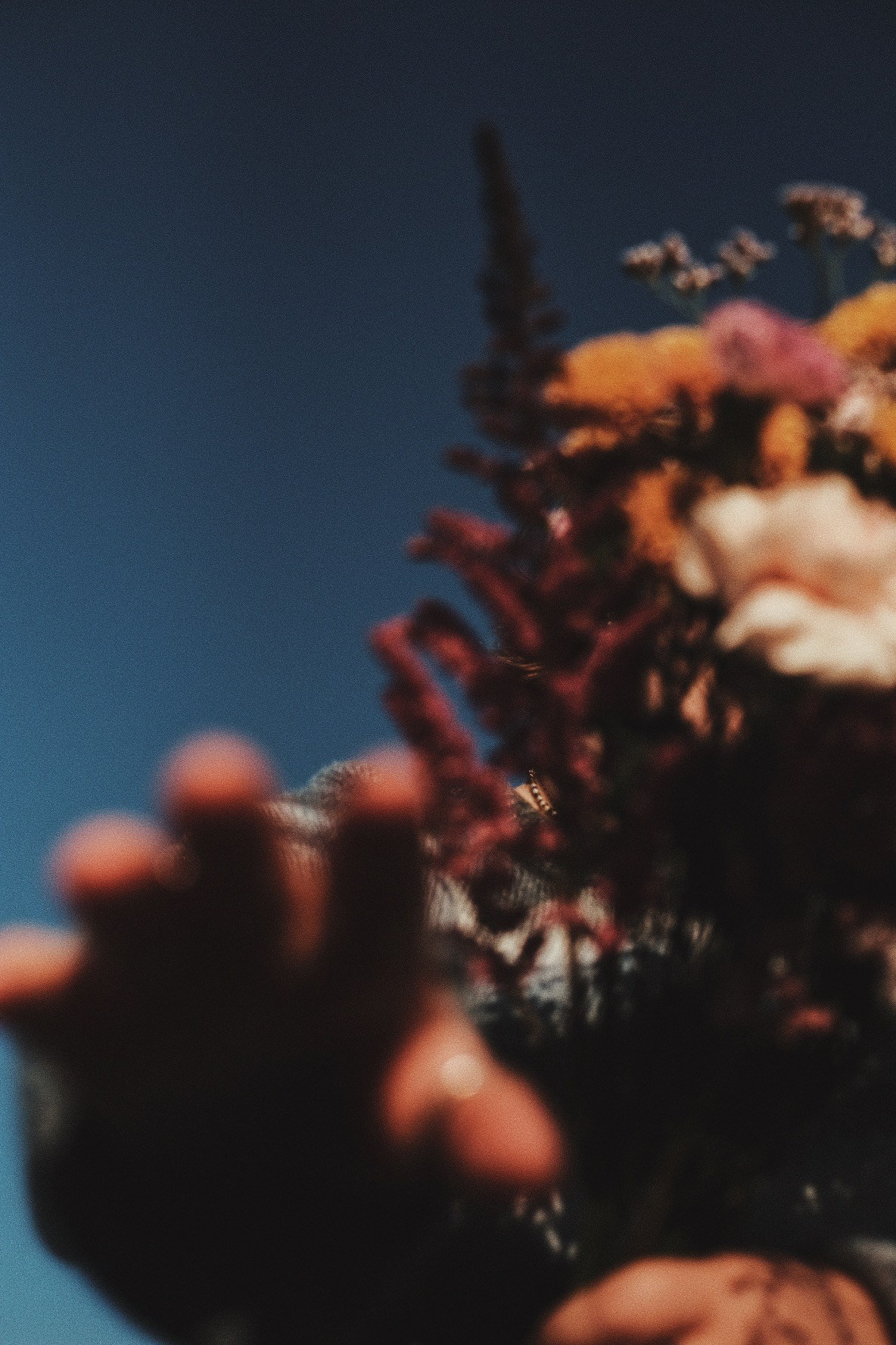 Kontakt. Sasha Silver Photography