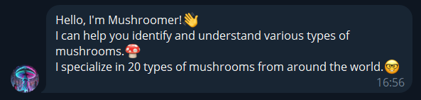 AI Mushroomer — Intelligent Mushroom Recognition System. IIMACS — The International Institute of Mathematics, AI & Computer Science