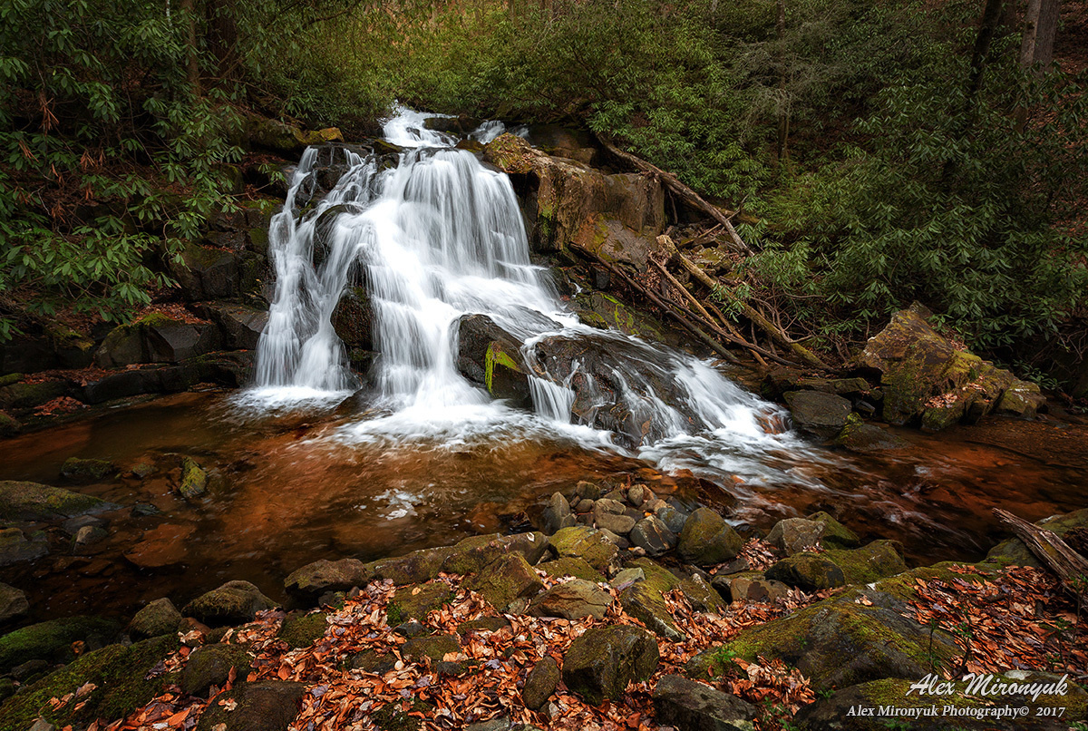 Осень в Больших Дымчатых Горах. Alex Mironyuk Photography