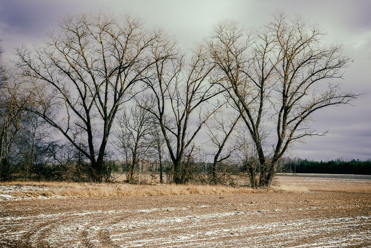 «ОСТАВЛЕННЫЙ» — город Припять после аварии на Чернобыле. Фотограф, коллекционер винтажных открыток и создатель историй на пересечении прошлого и личного. Ирина Дайнакова