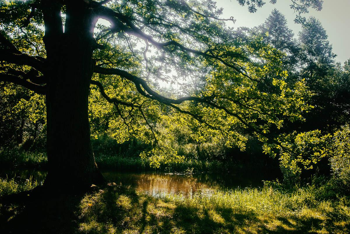 «ОСТАВЛЕННЫЙ» — город Припять после аварии на Чернобыле. Фотограф, коллекционер винтажных открыток и создатель историй на пересечении прошлого и личного. Ирина Дайнакова