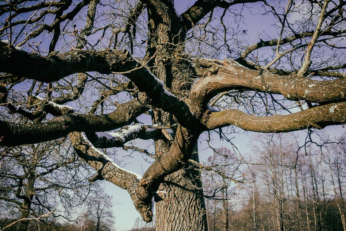 «ОСТАВЛЕННЫЙ» — город Припять после аварии на Чернобыле. Фотограф, коллекционер винтажных открыток и создатель историй на пересечении прошлого и личного. Ирина Дайнакова