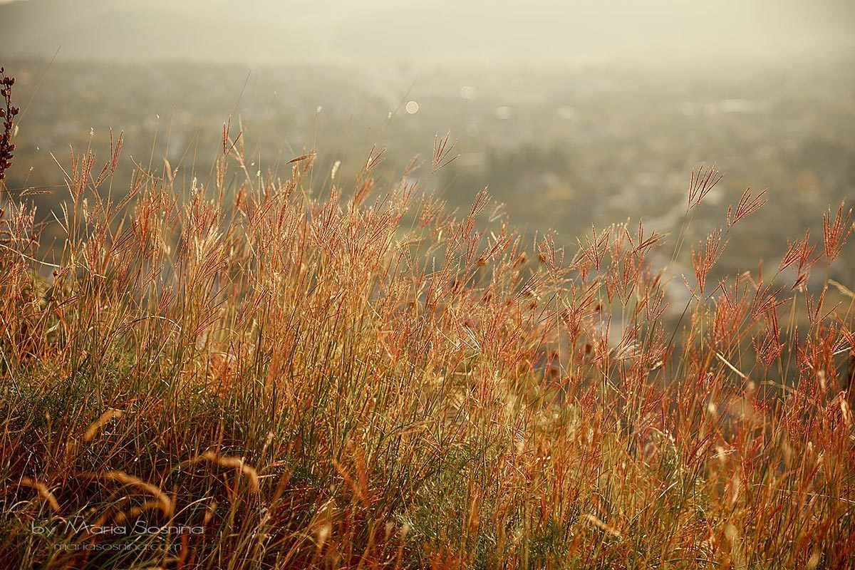 Old Town Bar u Crnoj Gori