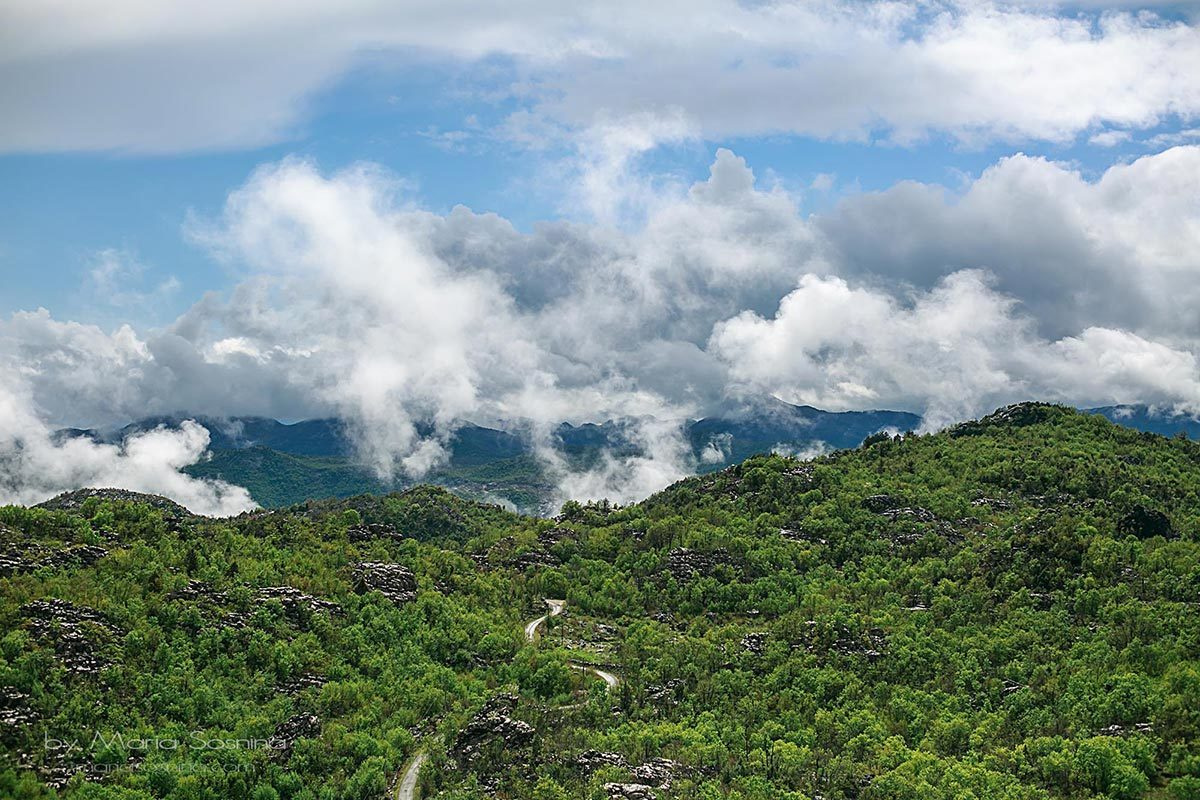 Podgorica’daki Niagara Şelalesi: Unutulmaz bir yemek deneyimi