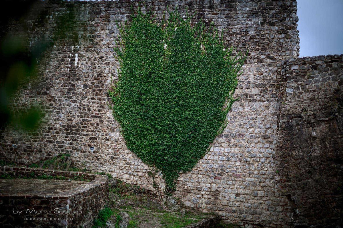 Old Town Bar u Crnoj Gori