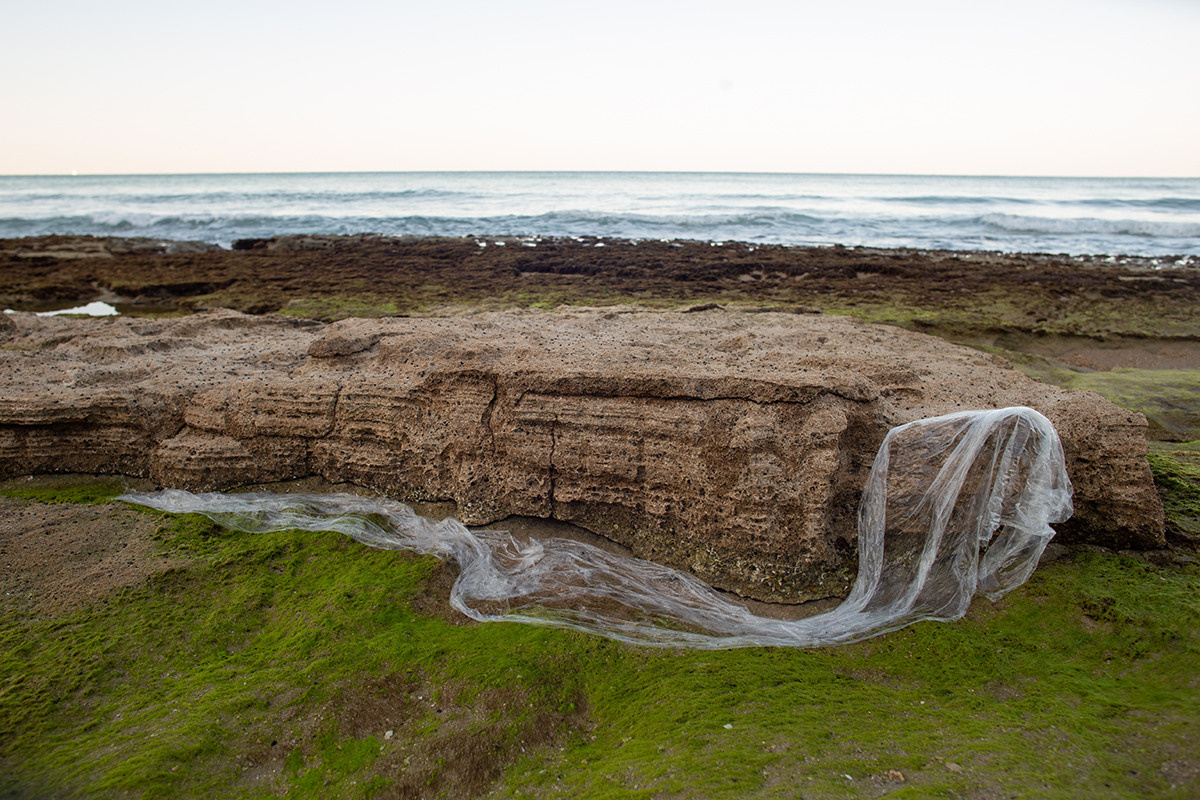 Красота неестественного. Фотограф Анна Резников