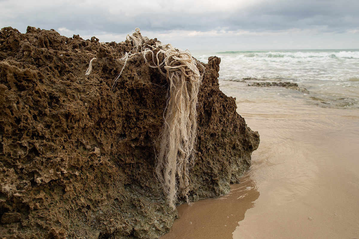 Красота неестественного. Фотограф Анна Резников