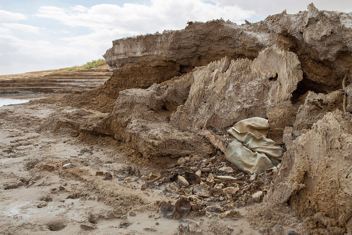 Красота неестественного. Фотограф Анна Резников