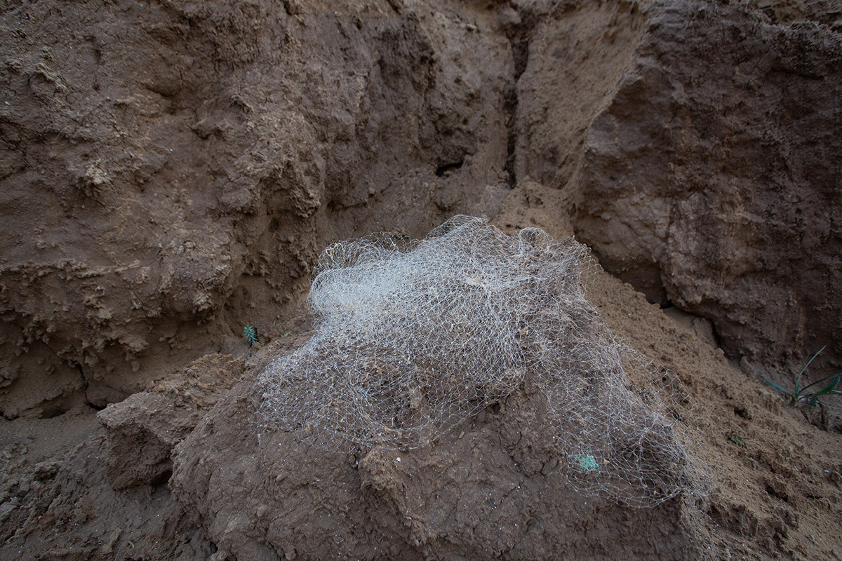 Красота неестественного. Фотограф Анна Резников