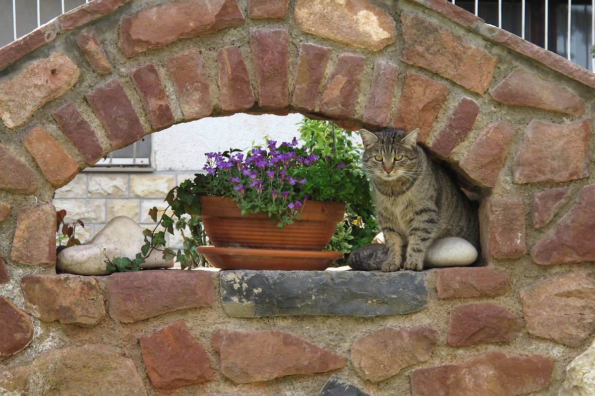 Хевиз программа. Elina Reisen. Туристическое агентство в Аугсбурге