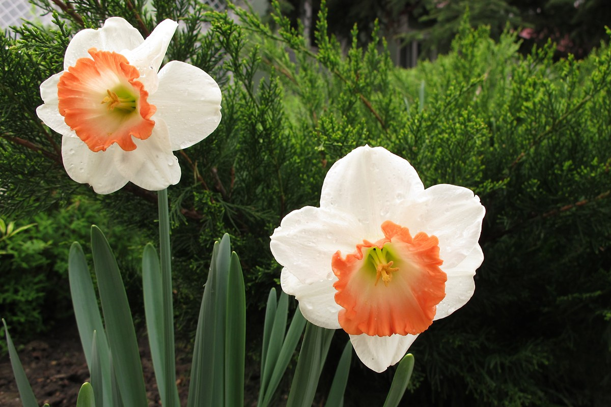 Хевиз программа. Elina Reisen. Туристическое агентство в Аугсбурге