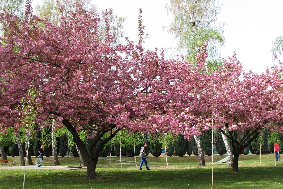Хевиз программа. Elina Reisen. Туристическое агентство в Аугсбурге