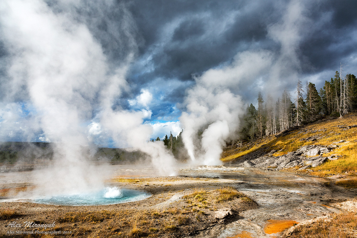Yellowstone & Grand Teton. Alex Mironyuk Photography