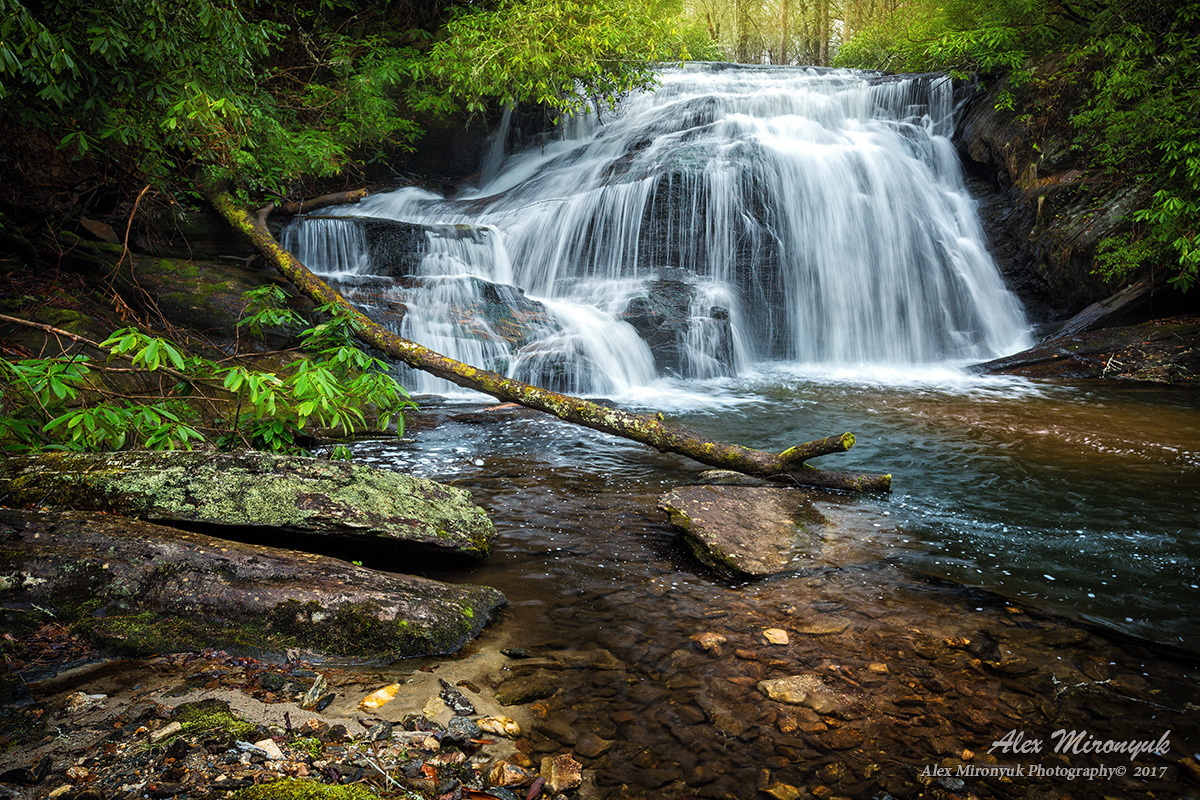 Fall at Great Smoky Mountains. Pet, Senior, Landscape, portrait studio, photographer in Miami and Sou