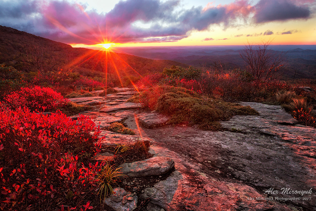 Fall Colors of Blue Ridge Parkway. Alex Mironyuk Photography