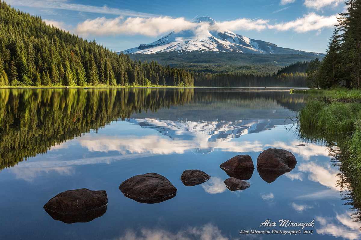 Summer in Oregon and Palouse. Pet, Senior, Landscape, portrait studio, photographer in Miami and Sou