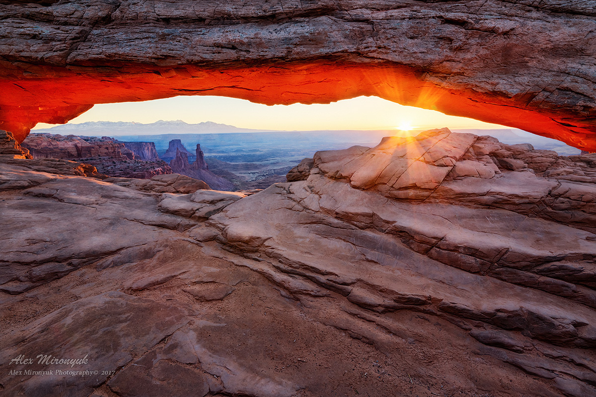 Itenerary. Pet, Senior, Landscape, portrait studio, photographer in Miami and Sou