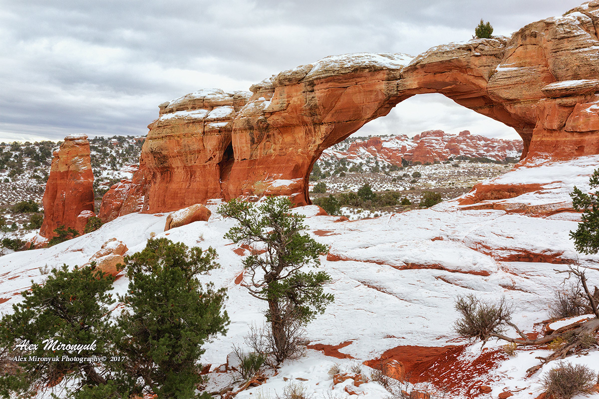 Itenerary. Pet, Senior, Landscape, portrait studio, photographer in Miami and Sou