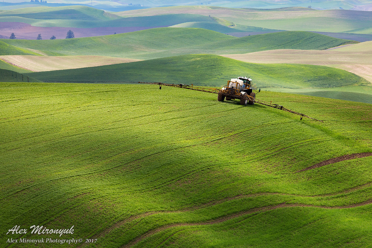 Unlimited Palouse. Alex Mironyuk Photography