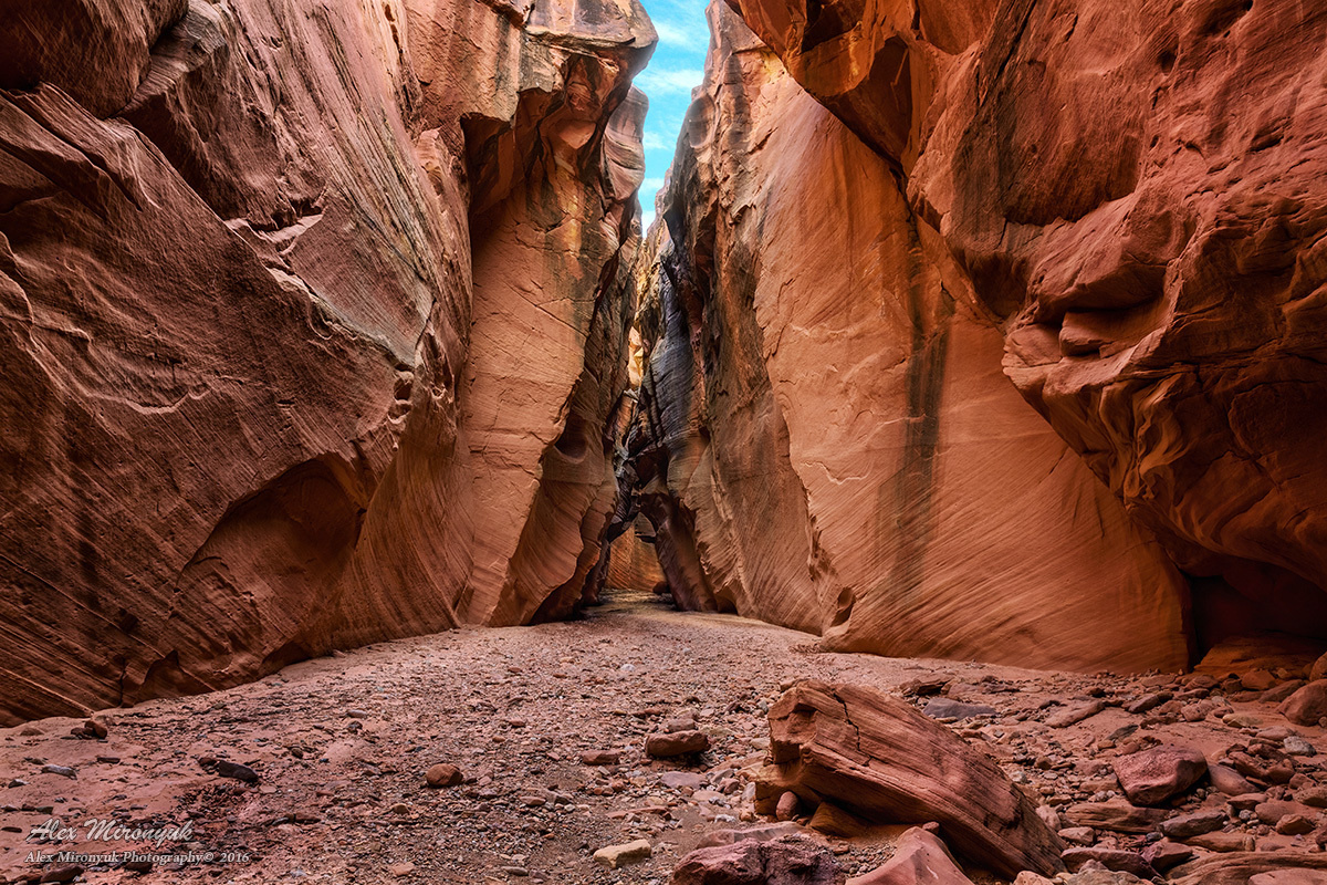 Приключения в Каньонах Эскаланте (продолжение). Alex Mironyuk Photography