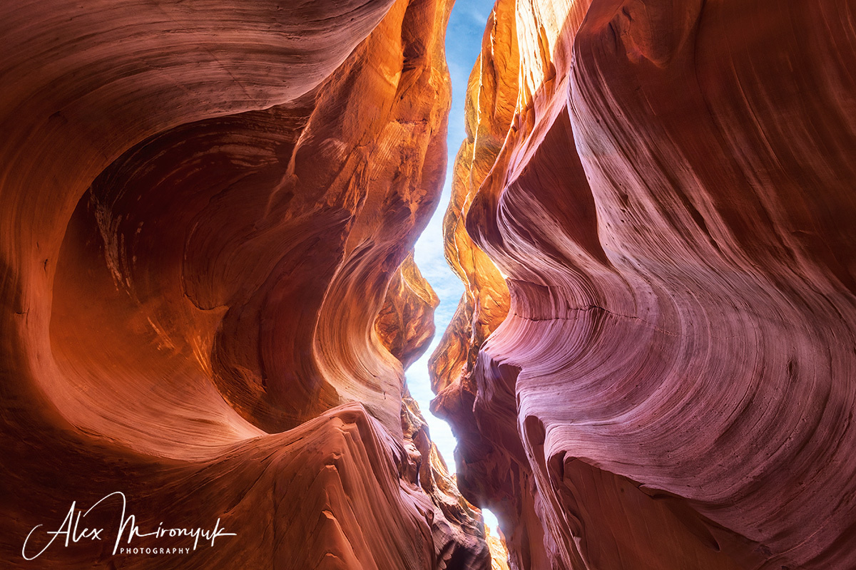 Приключения в Каньонах Эскаланте (продолжение). Alex Mironyuk Photography