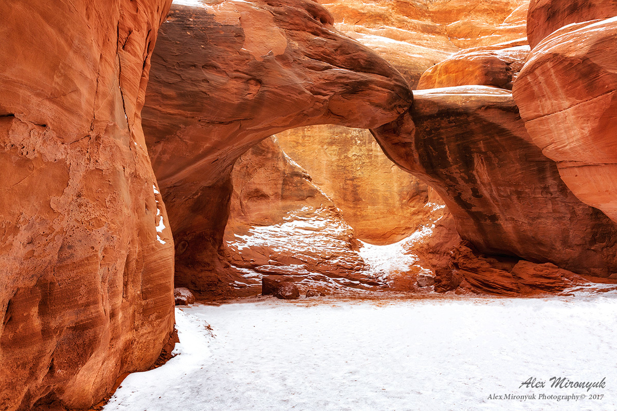 Itenerary. Pet, Senior, Landscape, portrait studio, photographer in Miami and Sou