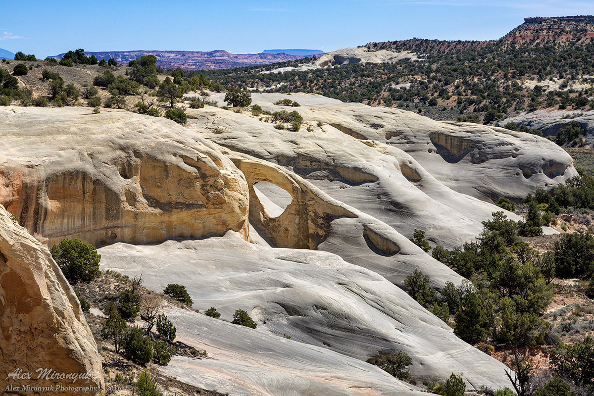 Приключения в каньонах Эскаланте. Alex Mironyuk Photography