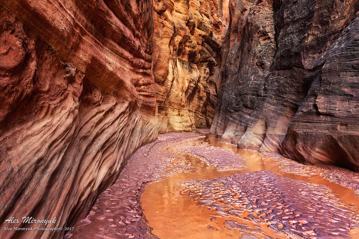 Программа Тура. Alex Mironyuk Photography