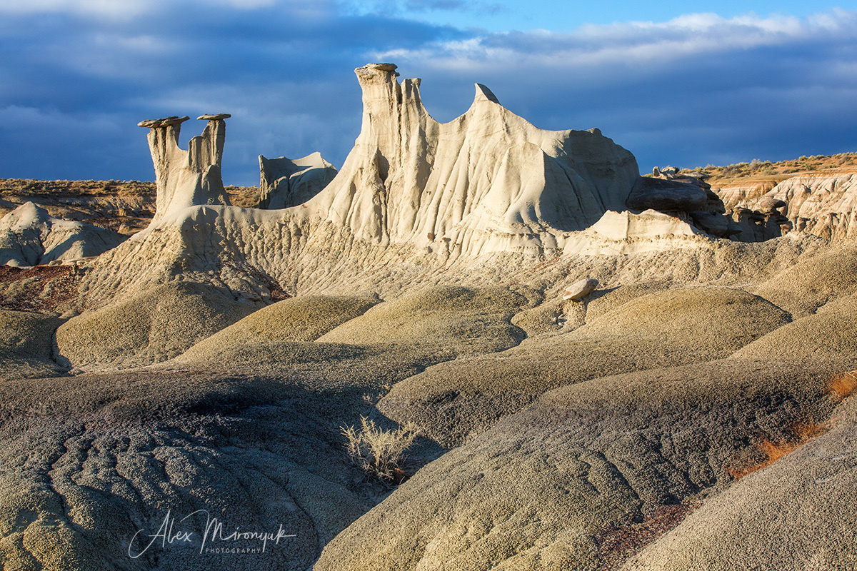 Colors of Colorado & New Mexico. Pet, Senior, Landscape, portrait studio, photographer in Miami and Sou